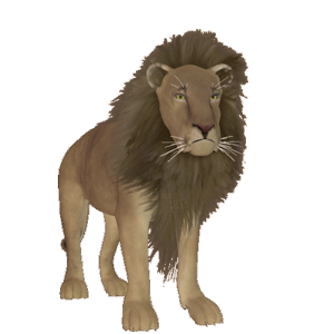 Gif animé lion assis